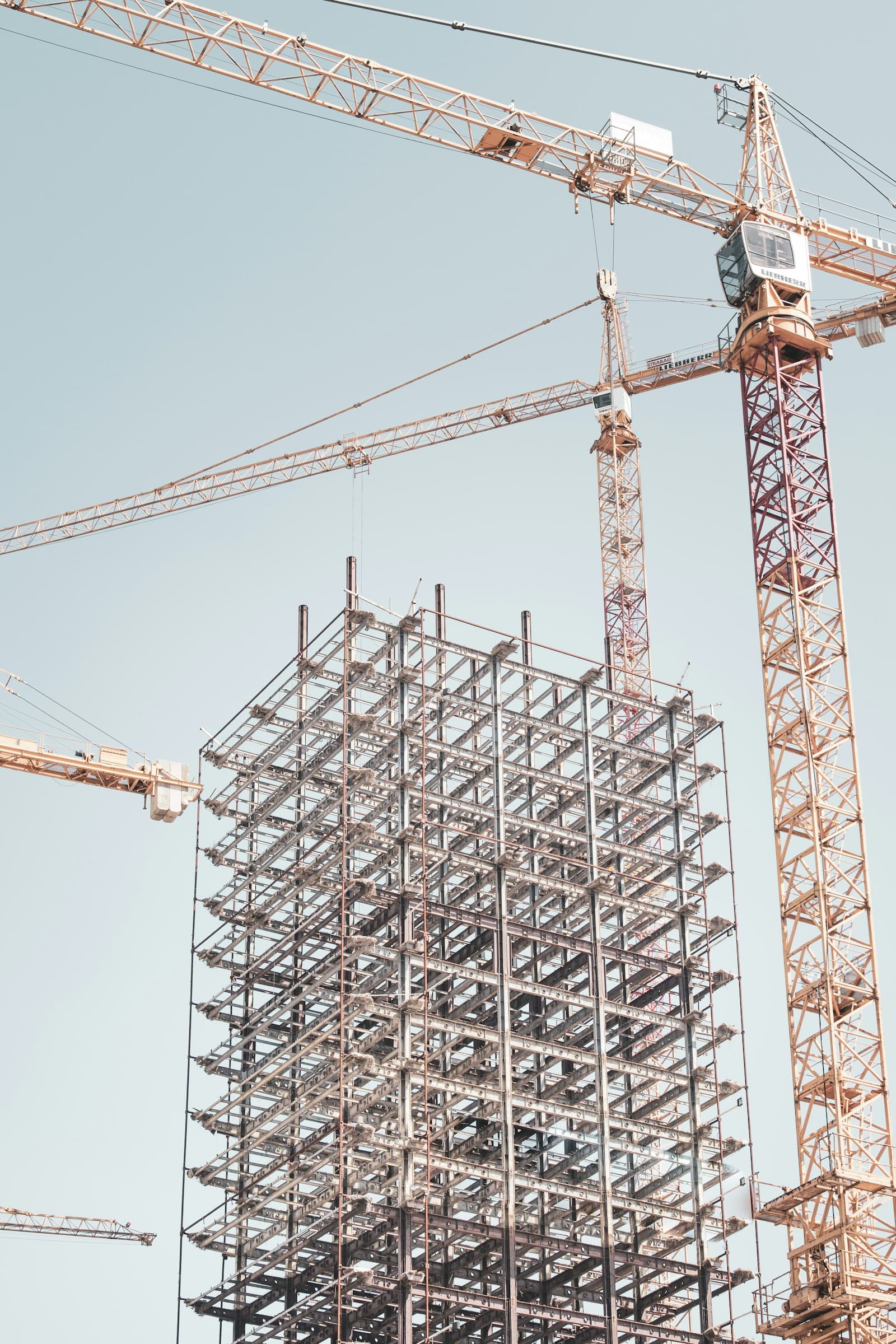 Steel building frame under construction beside a tower crane